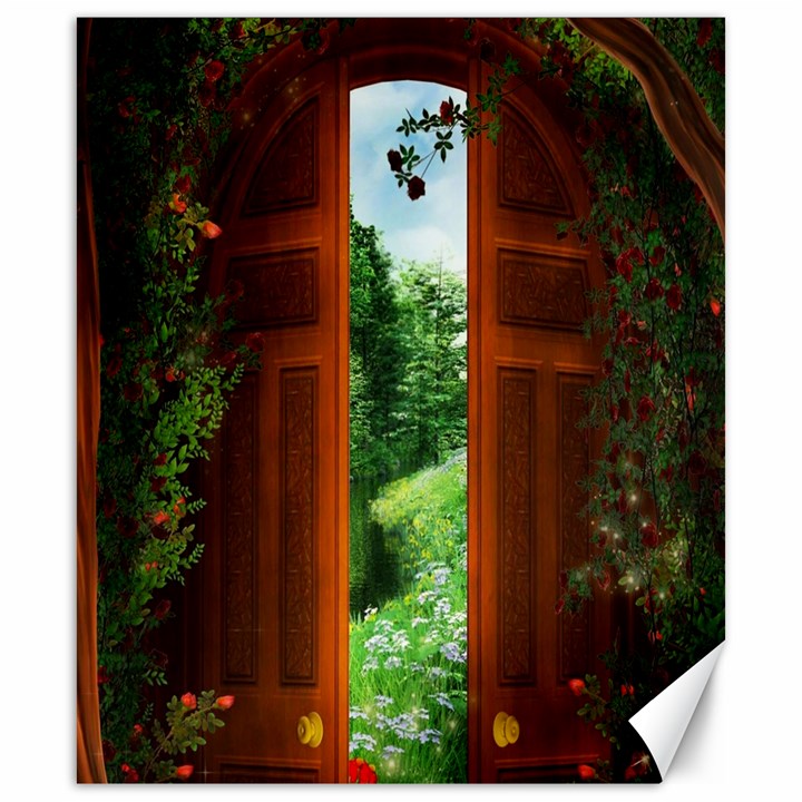 Beautiful World Entry Door Fantasy Canvas 20  x 24 