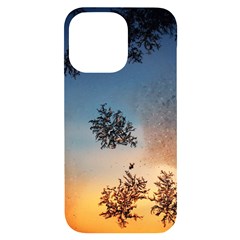 Hardest-frost-winter-cold-frozen Iphone 14 Pro Max Black Uv Print Case by Amaryn4rt