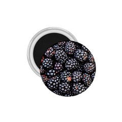 Blackberries-background-black-dark 1 75  Magnets by Amaryn4rt