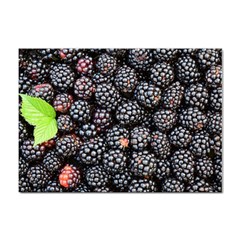 Blackberries-background-black-dark Sticker A4 (10 Pack) by Amaryn4rt