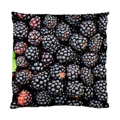 Blackberries-background-black-dark Standard Cushion Case (two Sides) by Amaryn4rt