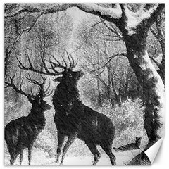 Stag-deer-forest-winter-christmas Canvas 16  X 16  by Amaryn4rt