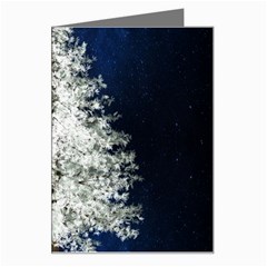 Tree Pine White Starlight Night Winter Christmas Greeting Card by Amaryn4rt