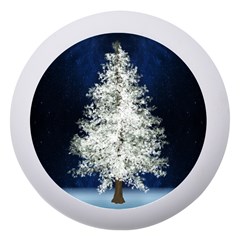 Tree Pine White Starlight Night Winter Christmas Dento Box With Mirror by Amaryn4rt