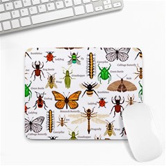 Insects-seamless-pattern Small Mousepad