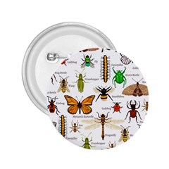 Insects-seamless-pattern 2.25  Buttons