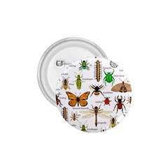 Insects-seamless-pattern 1.75  Buttons