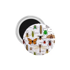 Insects-seamless-pattern 1.75  Magnets