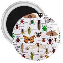 Insects-seamless-pattern 3  Magnets