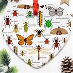 Insects-seamless-pattern Ornament (Heart) Front