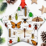 Insects-seamless-pattern Ornament (Star) Front