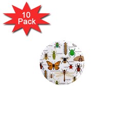 Insects-seamless-pattern 1  Mini Magnet (10 pack) 