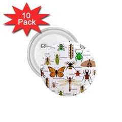 Insects-seamless-pattern 1.75  Buttons (10 pack)