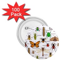 Insects-seamless-pattern 1.75  Buttons (100 pack) 