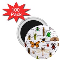 Insects-seamless-pattern 1.75  Magnets (100 pack) 