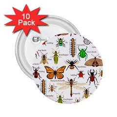 Insects-seamless-pattern 2.25  Buttons (10 pack) 