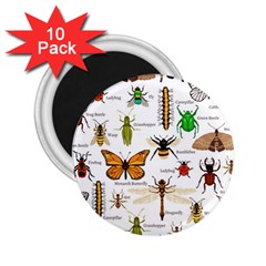 Insects-seamless-pattern 2.25  Magnets (10 pack) 