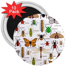 Insects-seamless-pattern 3  Magnets (10 pack) 