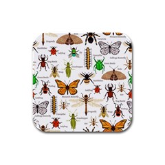 Insects-seamless-pattern Rubber Square Coaster (4 pack)