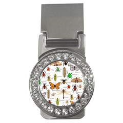 Insects-seamless-pattern Money Clips (CZ) 