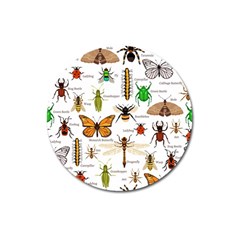 Insects-seamless-pattern Magnet 3  (Round)