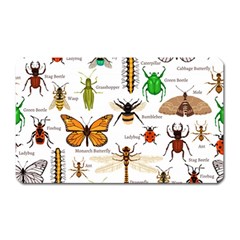 Insects-seamless-pattern Magnet (Rectangular)