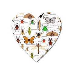 Insects-seamless-pattern Heart Magnet