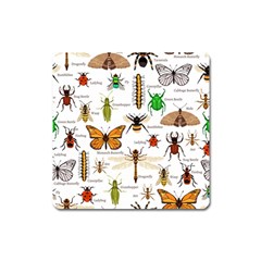 Insects-seamless-pattern Square Magnet