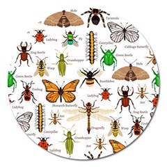 Insects-seamless-pattern Magnet 5  (Round)