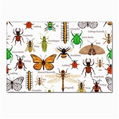 Insects-seamless-pattern Postcard 4 x 6  (Pkg of 10)