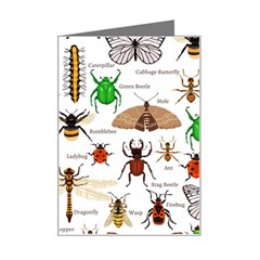 Insects-seamless-pattern Mini Greeting Card