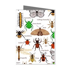 Insects-seamless-pattern Mini Greeting Cards (Pkg of 8)