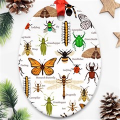 Insects-seamless-pattern Oval Ornament (Two Sides)