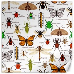 Insects-seamless-pattern Canvas 12  x 12 