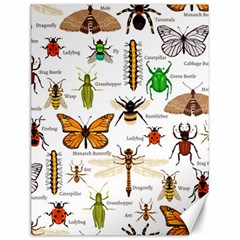 Insects-seamless-pattern Canvas 12  x 16 