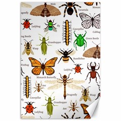 Insects-seamless-pattern Canvas 12  x 18 