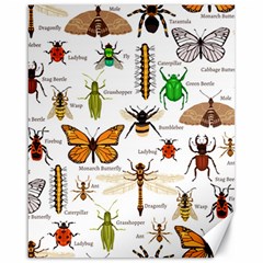 Insects-seamless-pattern Canvas 16  x 20 