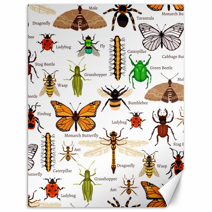 Insects-seamless-pattern Canvas 18  x 24 