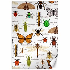 Insects-seamless-pattern Canvas 20  x 30 