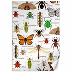 Insects-seamless-pattern Canvas 20  x 30  19.62 x28.9  Canvas - 1