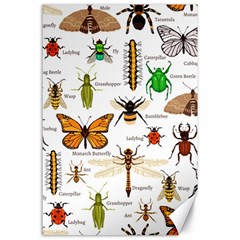 Insects-seamless-pattern Canvas 24  x 36 