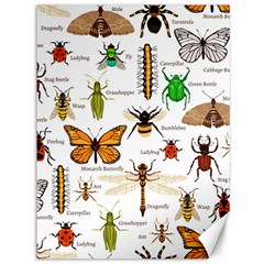 Insects-seamless-pattern Canvas 36  x 48 