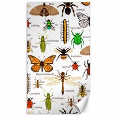 Insects-seamless-pattern Canvas 40  x 72 