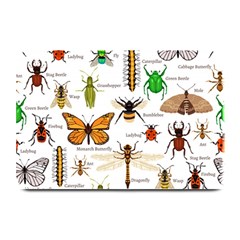 Insects-seamless-pattern Plate Mats