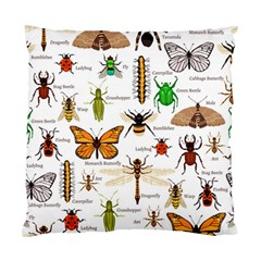 Insects-seamless-pattern Standard Cushion Case (One Side)