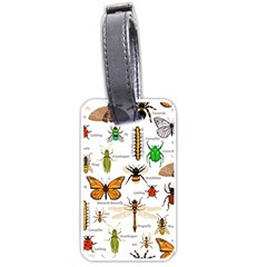 Insects-seamless-pattern Luggage Tag (one Side) by Amaryn4rt