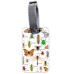 Insects-seamless-pattern Luggage Tag (two sides)