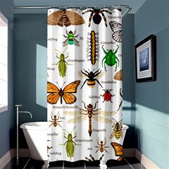 Insects-seamless-pattern Shower Curtain 36  x 72  (Stall) 