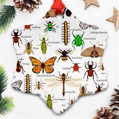 Insects-seamless-pattern Ornament (Snowflake)