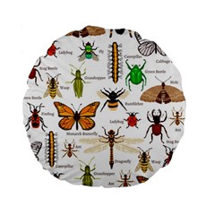 Insects-seamless-pattern Standard 15  Premium Round Cushions